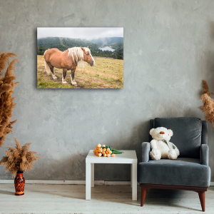 Panneau décoratif - Cheval vue sur le Lac des corbeaux